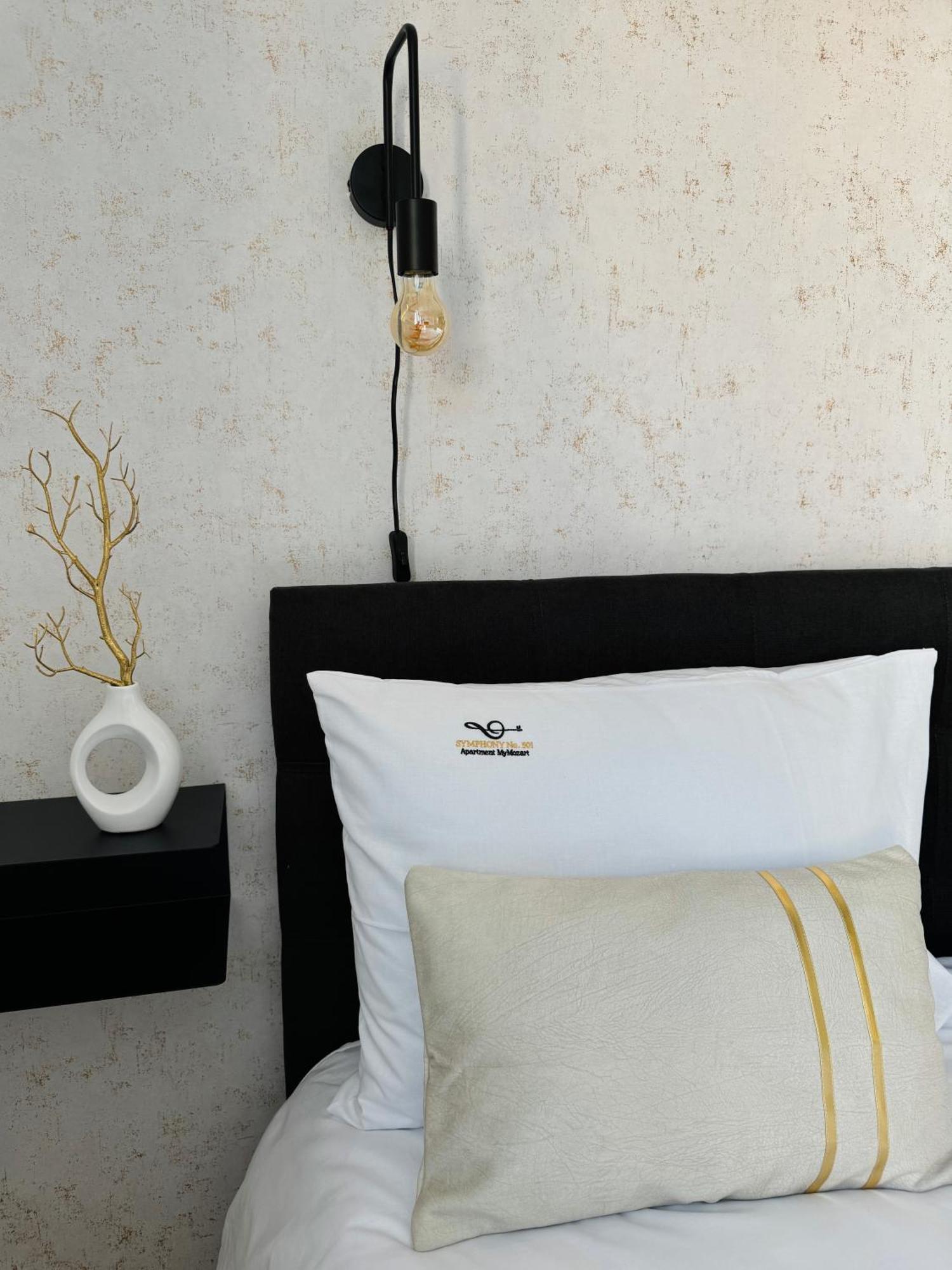 Symphony No 501 Mymozart Apartment Prague